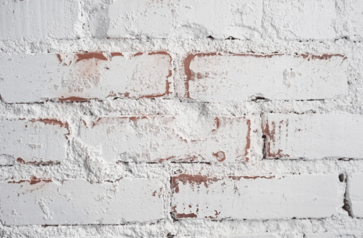 Screen Shot 2018-11-24 at 1.24.44 PM